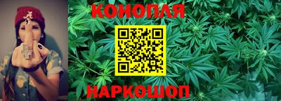 ГАЛЛЮЦИНОГЕННЫЕ ГРИБЫ Малгобек