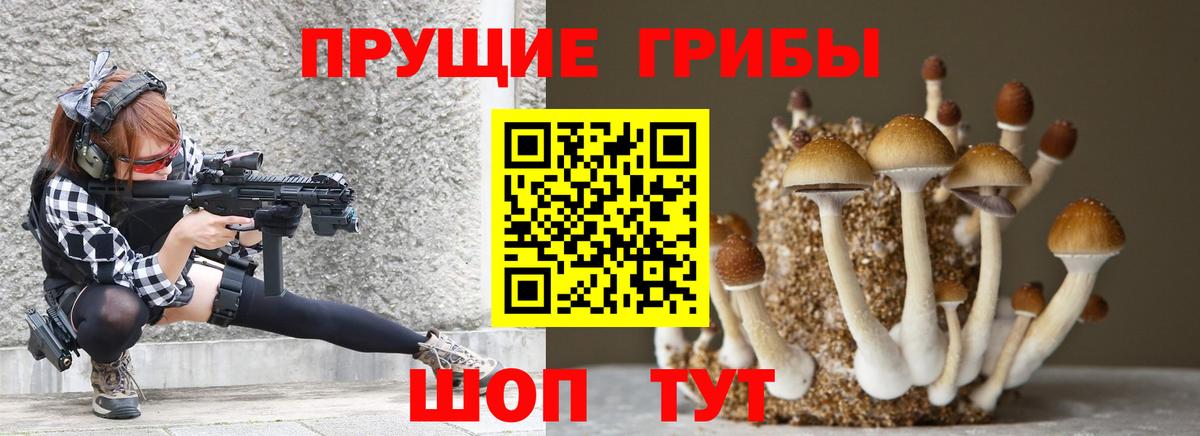 Галлюциногенные грибы мицелий  Вход с VPN  даркнет сайт  Галлюциногенные грибы Psilocybe  Димитровград 