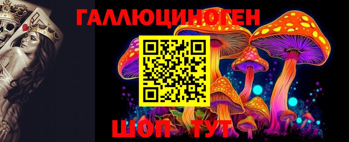 Галлюциногенные грибы Magic Shrooms Димитровград